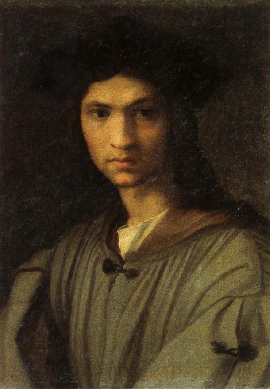 Andrea del Sarto Self-Portrait Spain oil painting art